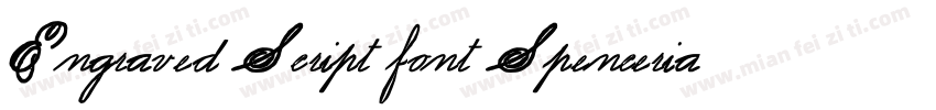 Engraved Script font Spencerian Scr字体转换